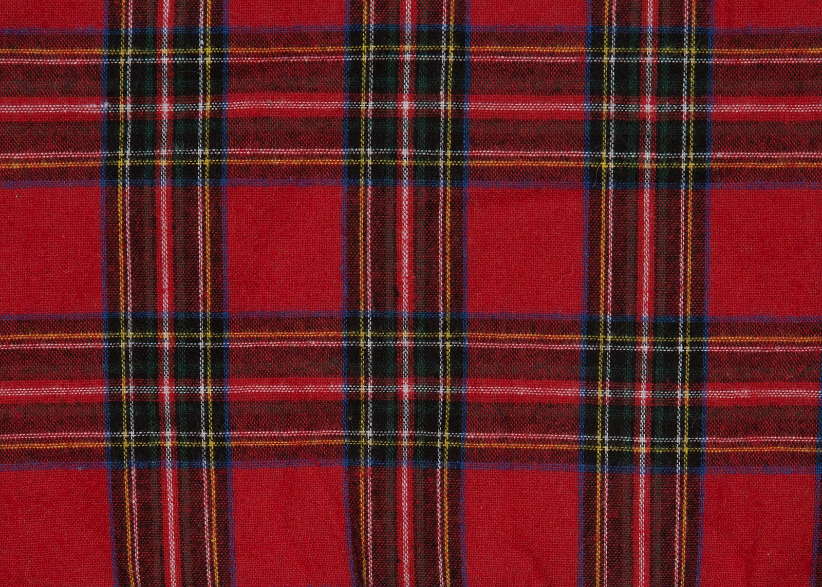 Classic Christmas Check
